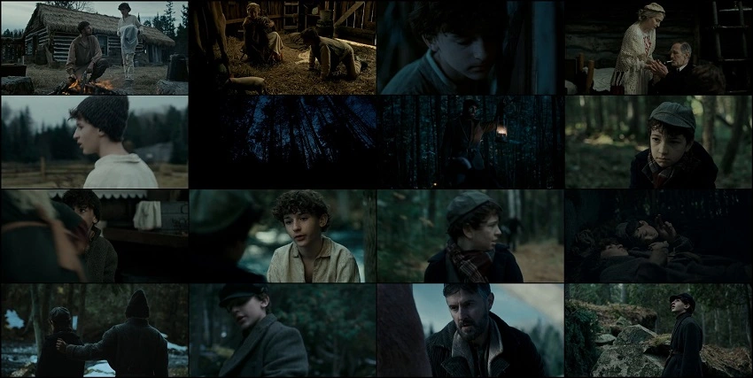 The Boy in the Woods | 2023 | English | 480p 720p 1080p