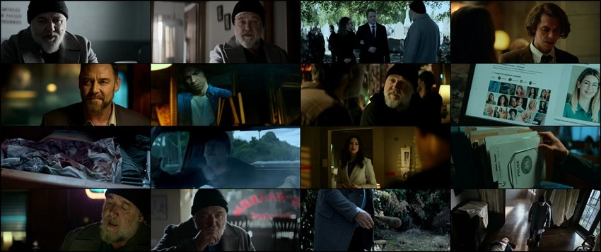 Sleeping Dogs | 2024 | Hindi-English | 480p 720p 1080p