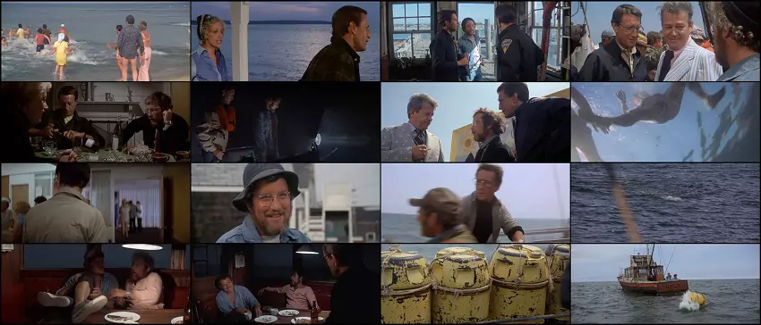 Download Jaws | 1975 | Hindi-English | 480p 720p 1080p