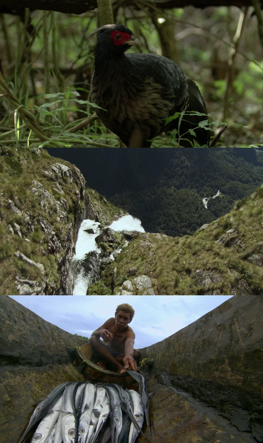 Download South Pacific | 2023 | Season 1 | Netflix Original WEB Series | 480p 720p 1080p | AllMoviesHub