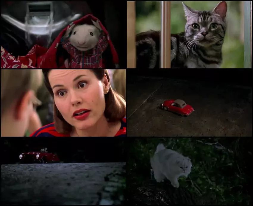 Download Stuart Little | 1999 | Hindi-English | Dual Audio | BluRay | Full Movie 480p 720p 1080p