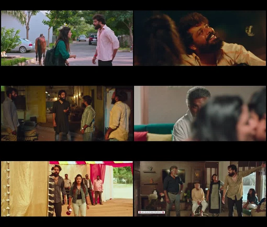 Download Savaari | 2022 | Hindi | WAVES WEB-DL | Full Movie 480p 720p 1080p