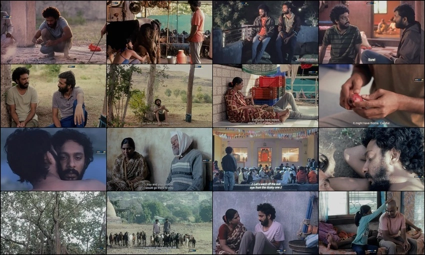 Download Cactus Pears (Sabar Bonda) | 2025 | Hindi Dubbed (LiNE) | HDTS | Full Movie 480p 720p 1080p