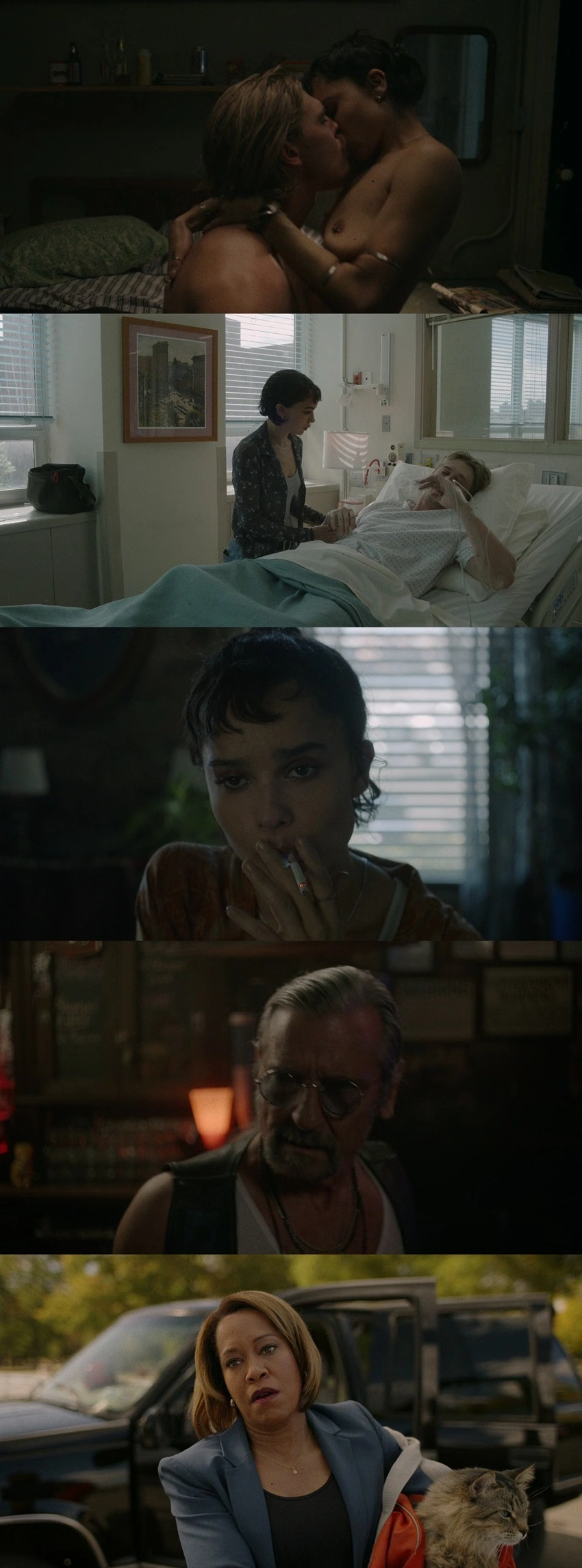 Download Caught Stealing | 2025 | English With Subtitles | WEBRip | Full Movie 480p 720p 1080p