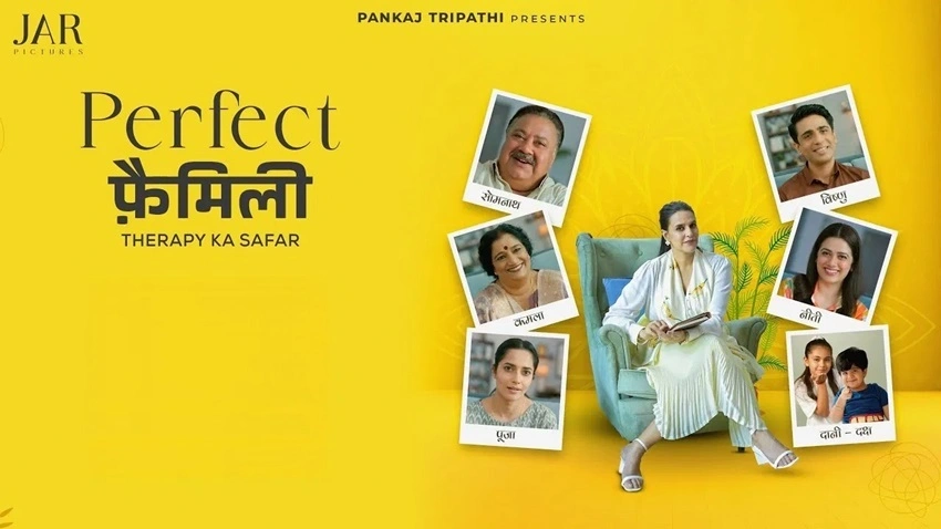 Download Perfect Family | 2025 | Season 1 | Hindi DD5.1 | WEB-DL | Complete WEB Series | 480p 720p 1080p
