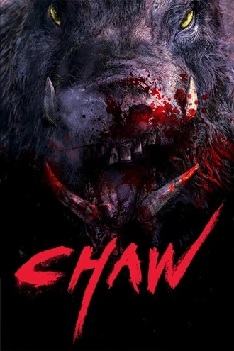 Download Chawz | 2009 | Uncut-BluRay Dual Audio | Hindi-Korean | Full Movie 480p 720p 1080p
